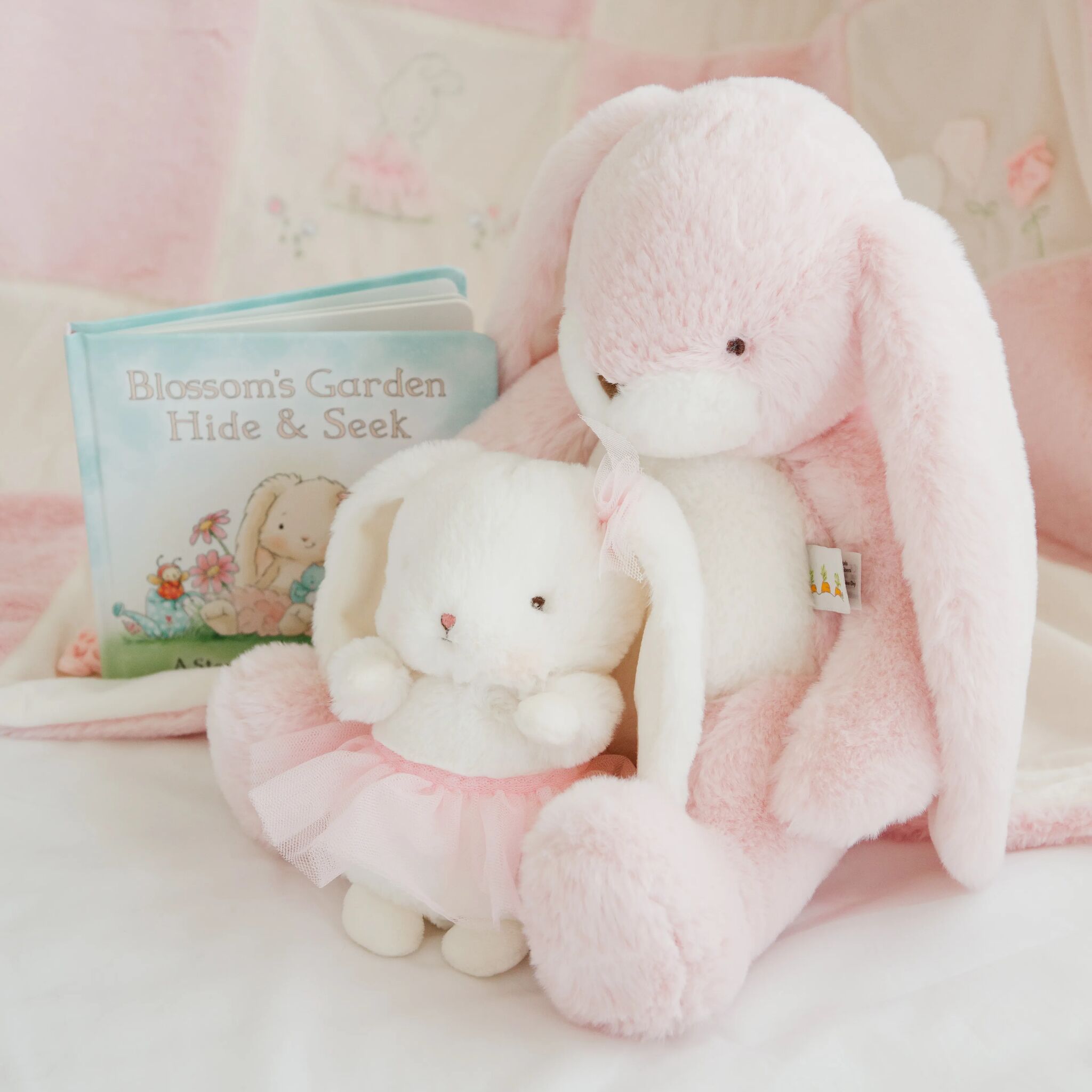 Email sign-up background